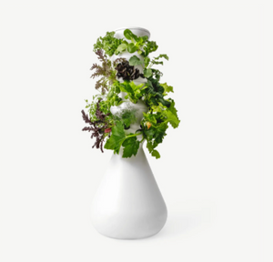5 Ways to Start Hydroponic Gardening - Growing Plants Without Soil