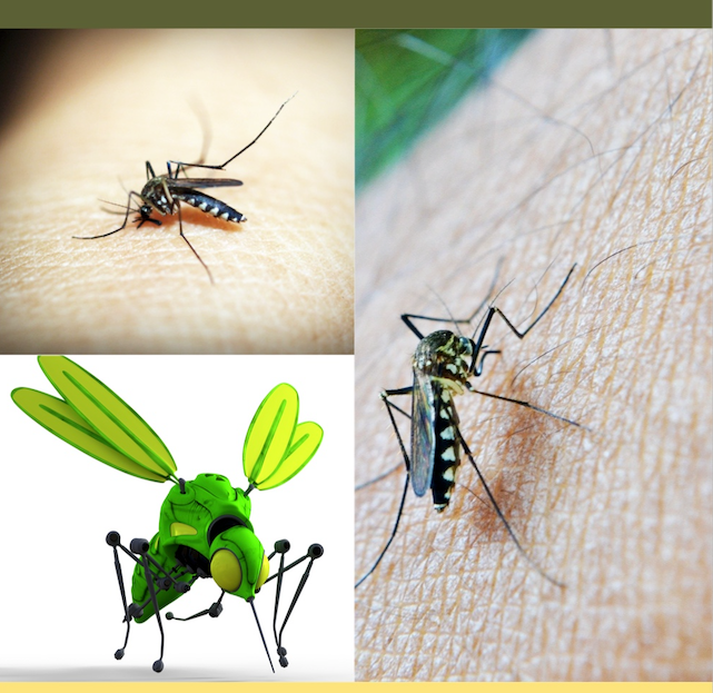 Organic Bug Repellant