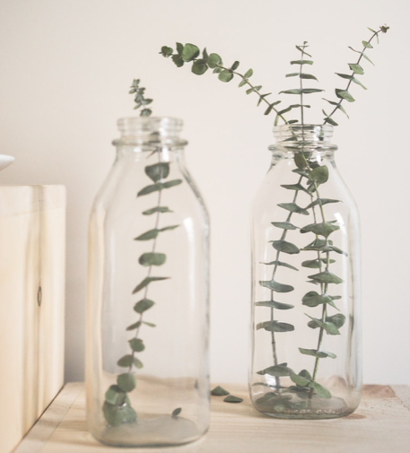 9 Unexpected Benefits of Eucalyptus Oil